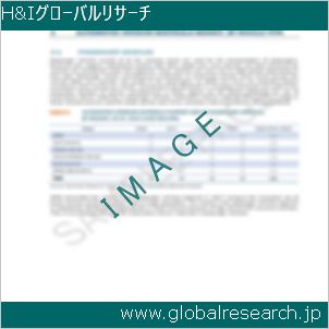 グローバルリサーチ調査レポートのイメージ